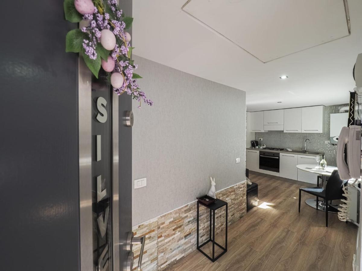 For You Apartments Gold & Silver シビウ エクステリア 写真